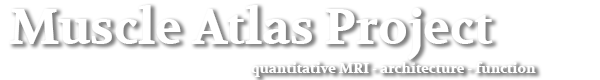 Muscle-Atlas – Quantitative analysis of skeletal muscle using MRI data.