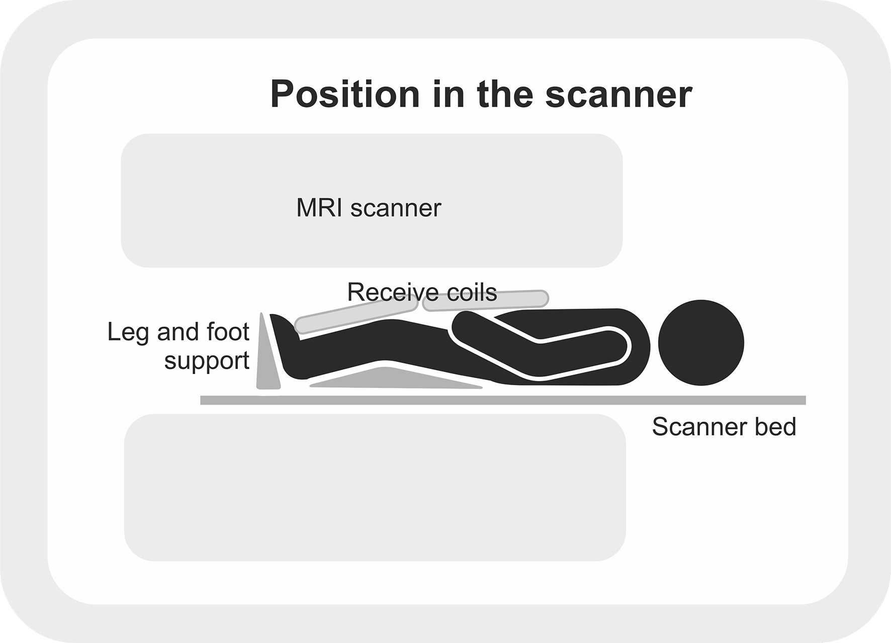 De positie van de deelnemer in de scanner